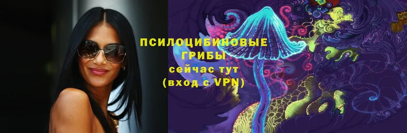 МЕГА зеркало  Белая Холуница  Псилоцибиновые грибы Cubensis 